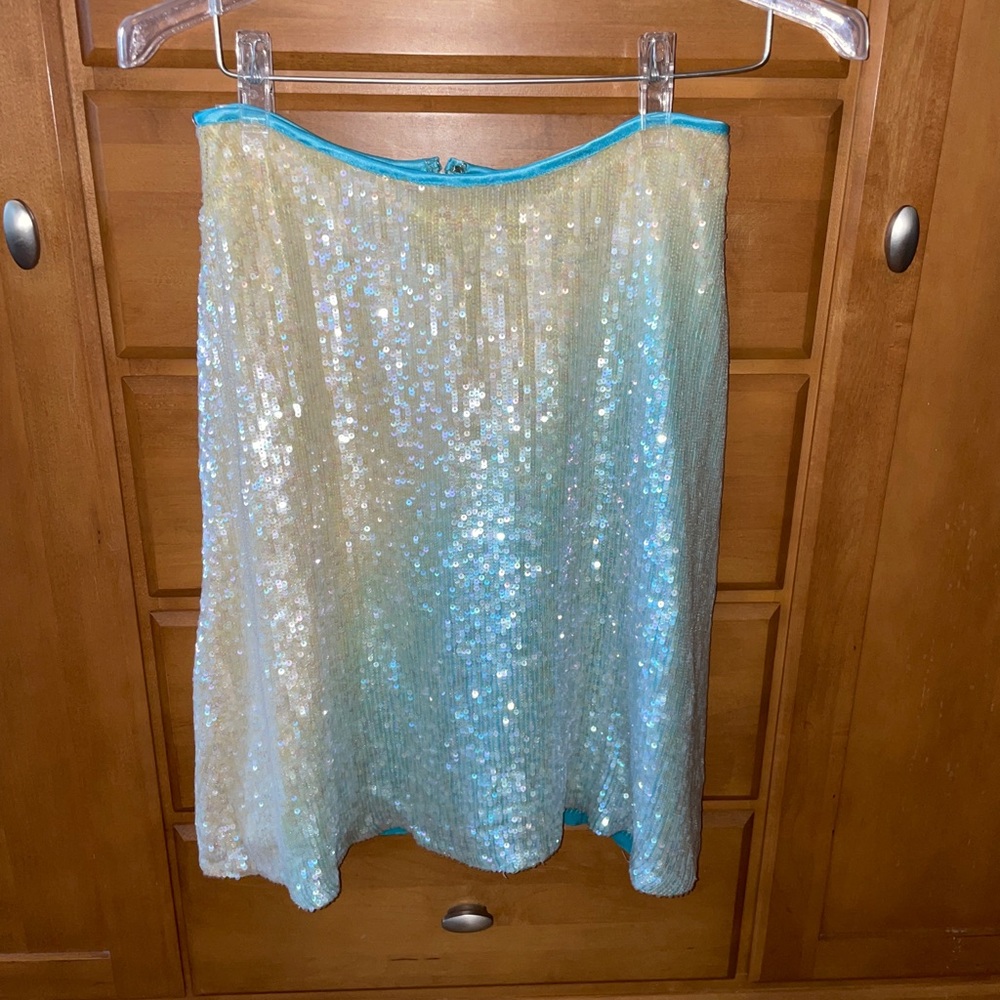 Sequined Skirt